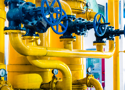 SS Flange Valve and Fittings